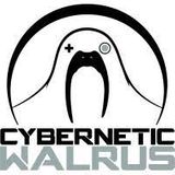 cybernetic walrus